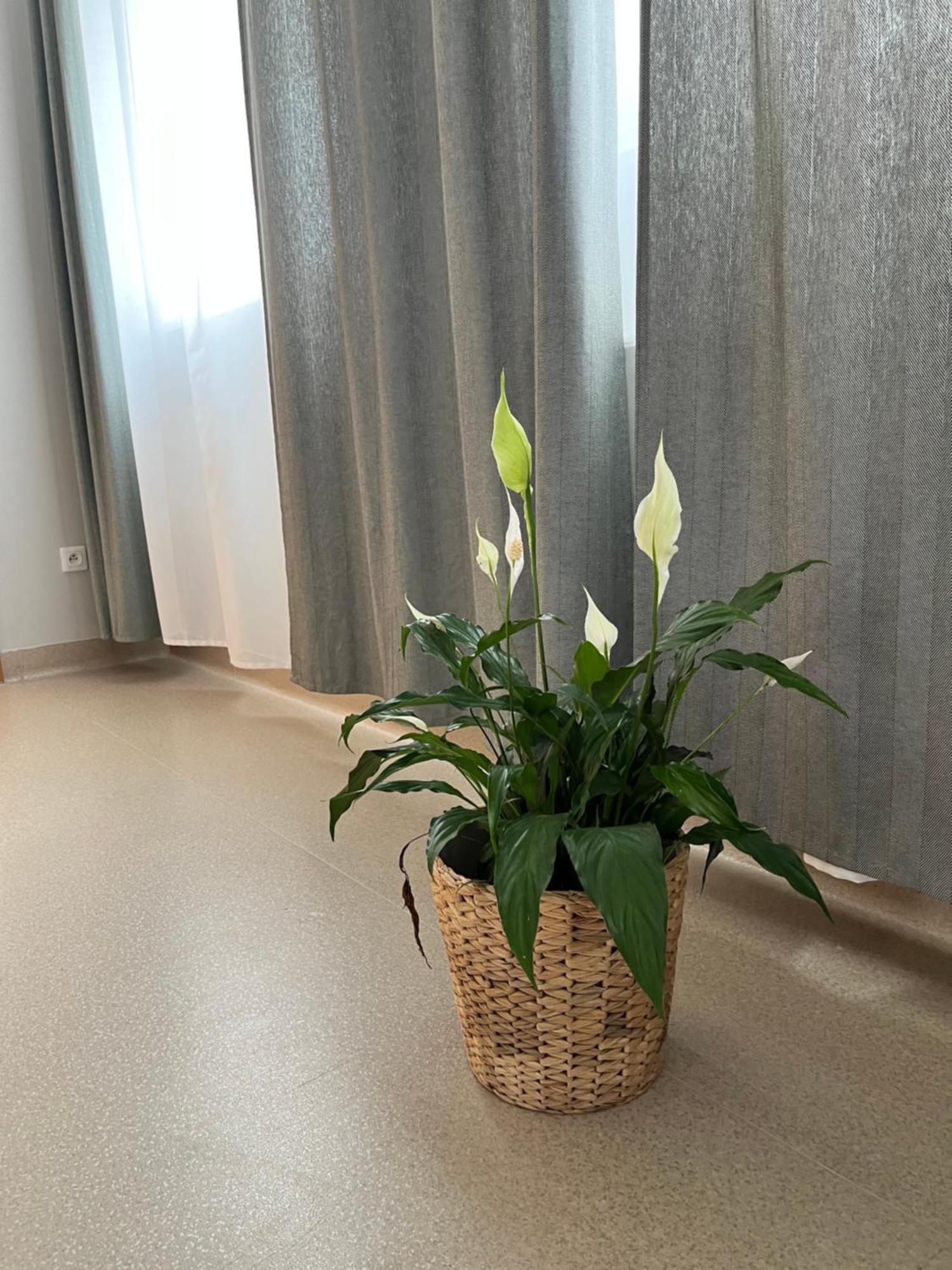 Ostello Osrodek Konferencyjno-Wypoczynkowy Chojna Esterno foto